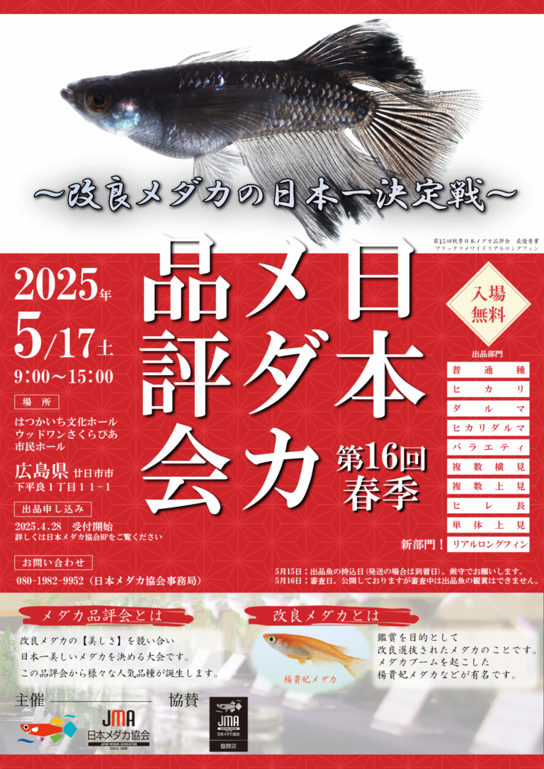 改良メダカを、錦鯉・金魚に次ぐ『日本における、第3の観賞魚文化』に 